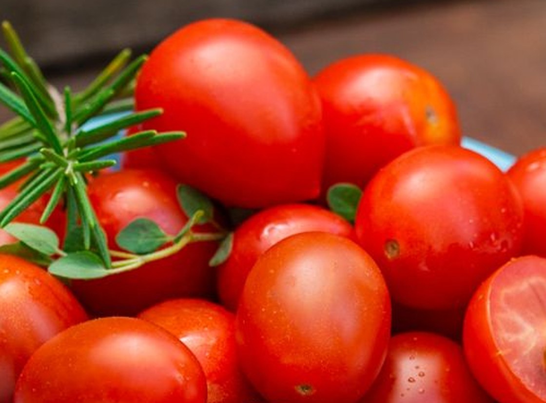 Ripe plum tomatoes with a sprig of fresh rosemary
